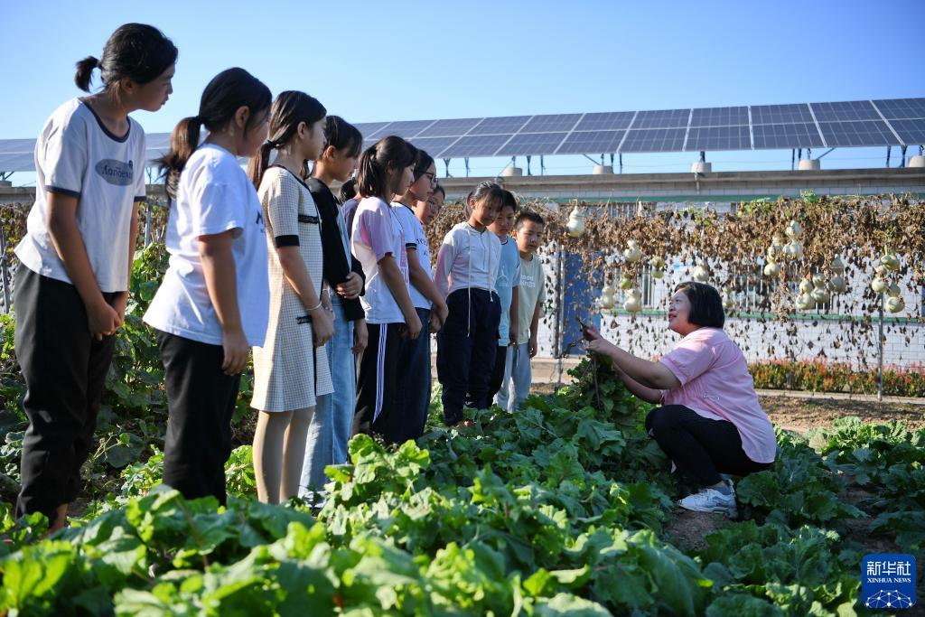 欢乐斗牛官网苹果